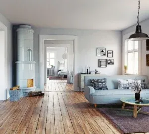 imgi_19_6bs-pic-300×270