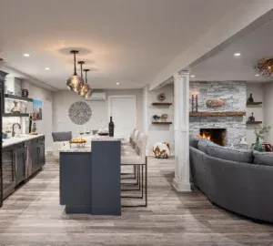 imgi_25_3bs-pic-300×270